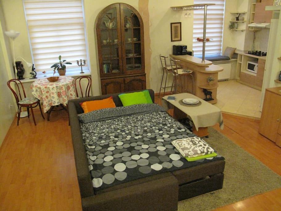 Private Entrance-2 Rooms-old Town- Free Parking * Vilnius